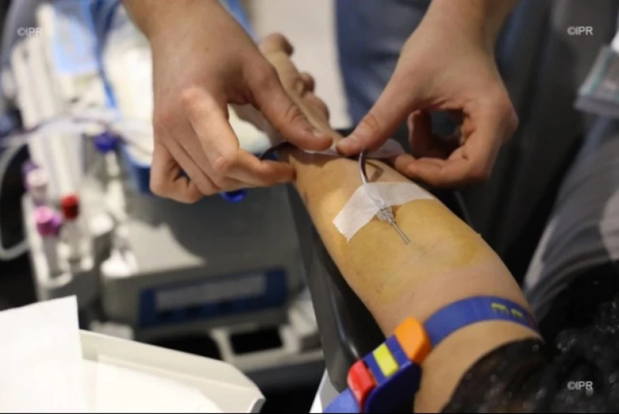 Don du sang : le planning des collectes