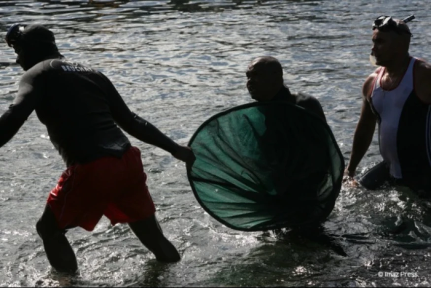 Pêche des bichiques : l'avis de la population sollicité pour le nouveau projet d’arrêté préfectoral
