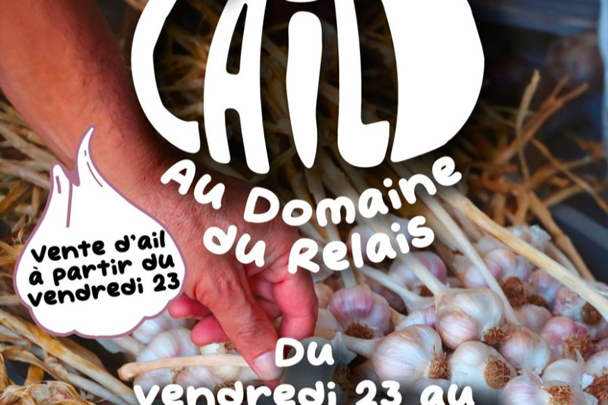 Fête de l'ail à Petite-Ile